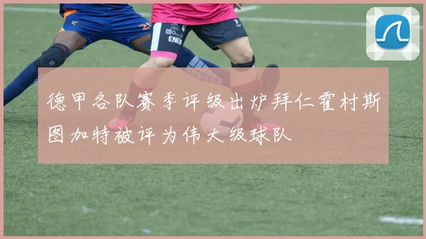 德甲各队赛季评级出炉拜仁霍村斯图加特被评为伟大级球队