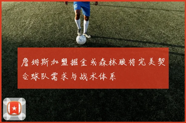 詹姆斯加盟掘金或森林狼将完美契合球队需求与战术体系